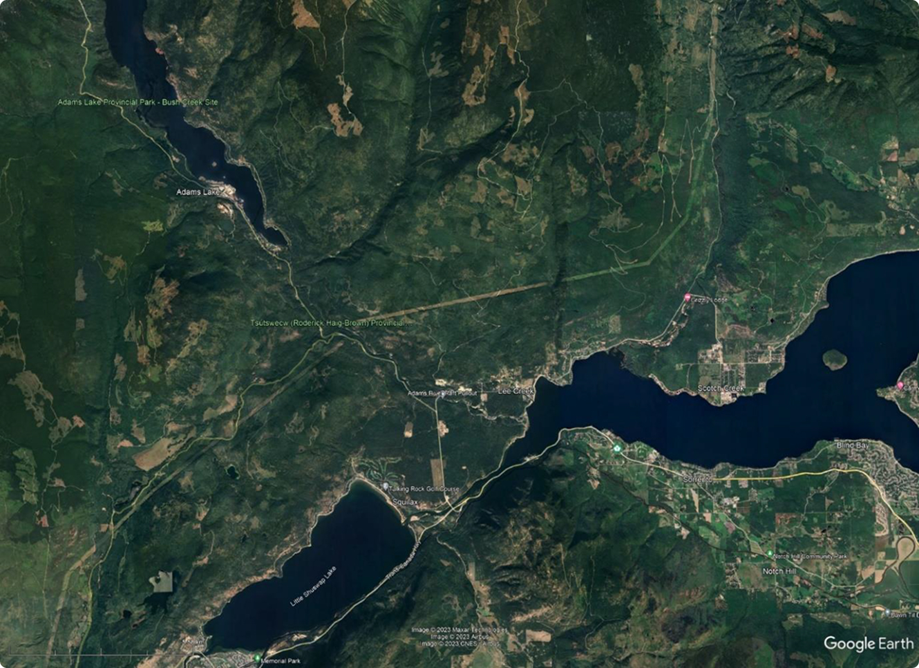 Satellite view of Adams Lake and surrounding forests