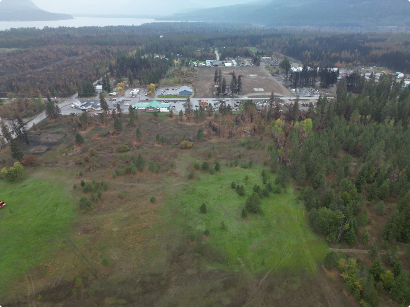 Aerial view of rural town by forest and lake