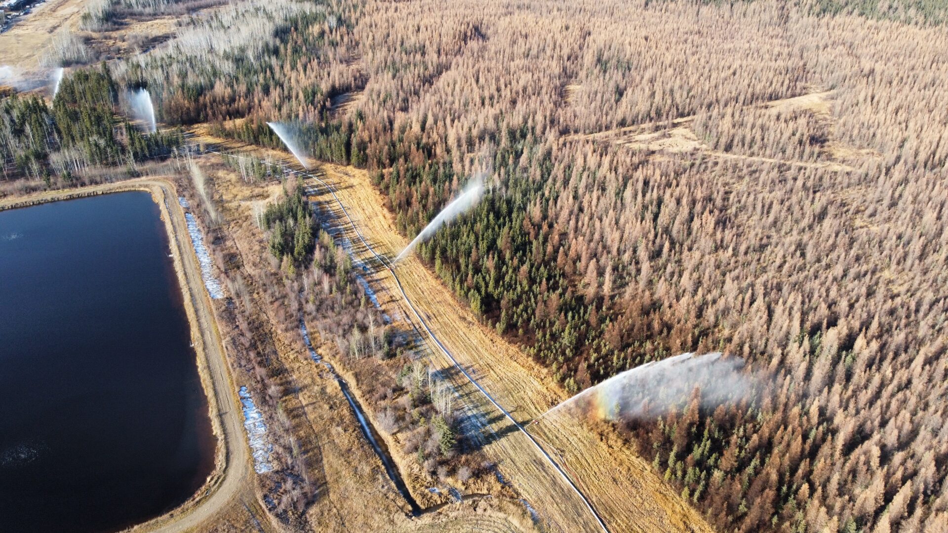 Aerial view of forest irrigation near reservoir